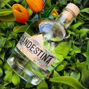 Clandestina Gin