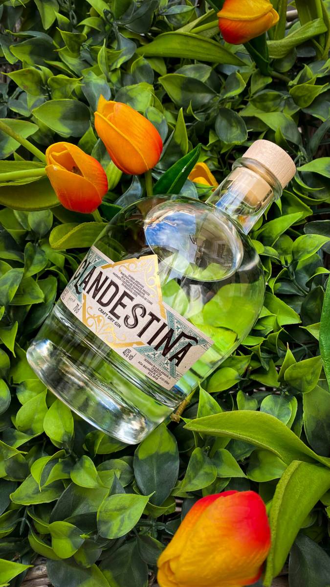 Clandestina Gin